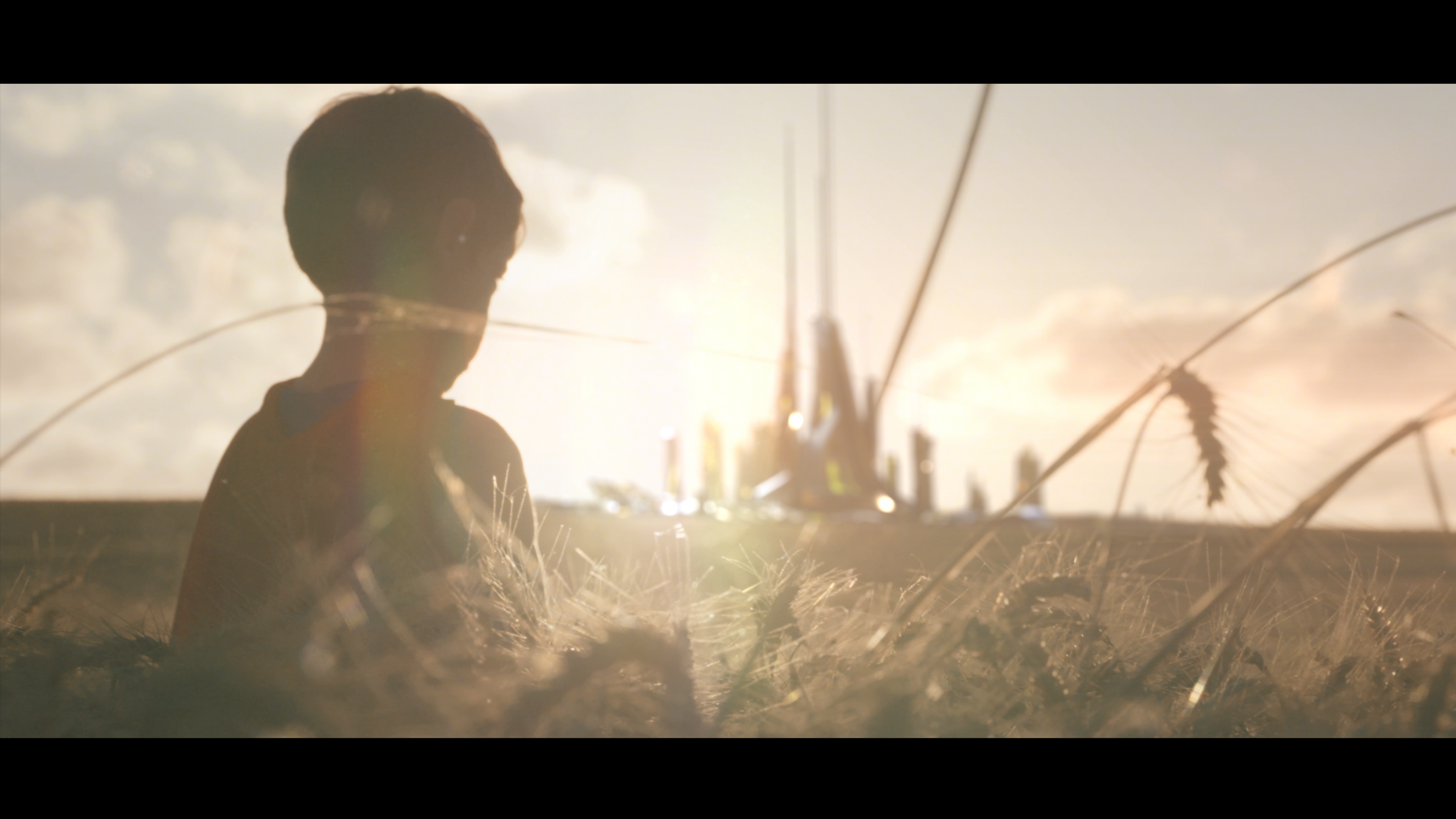 Show Reel